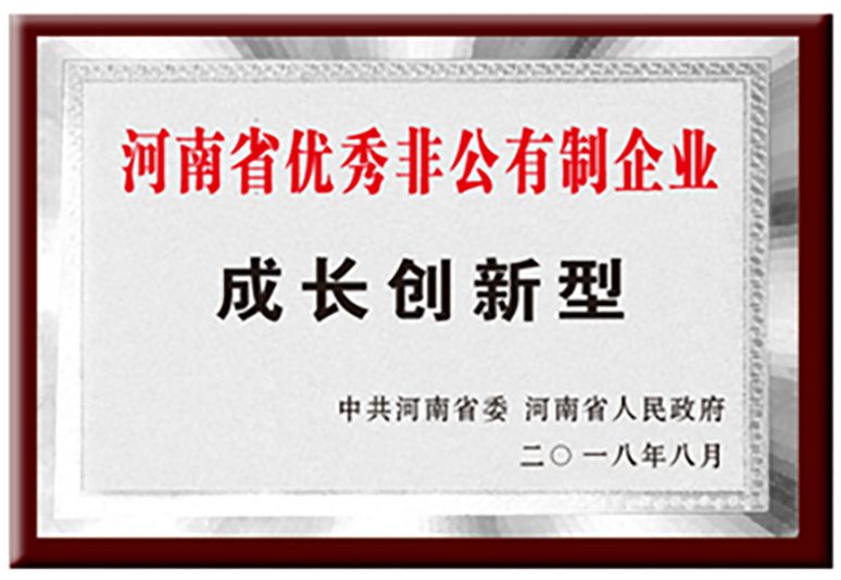 优秀非公有制企业 - 企业荣誉证书