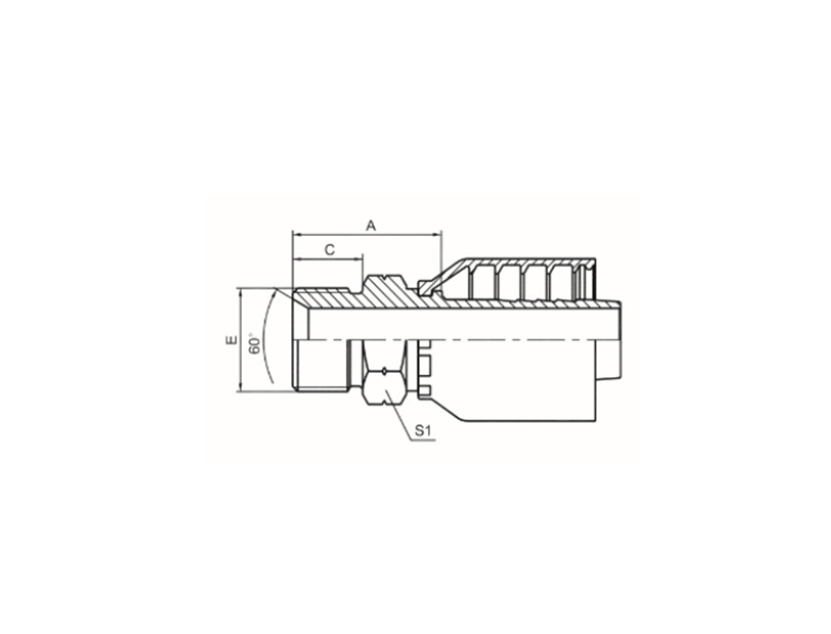 BSPP MALE THREAD 60° INTERNAL CONE SEAT Product Image